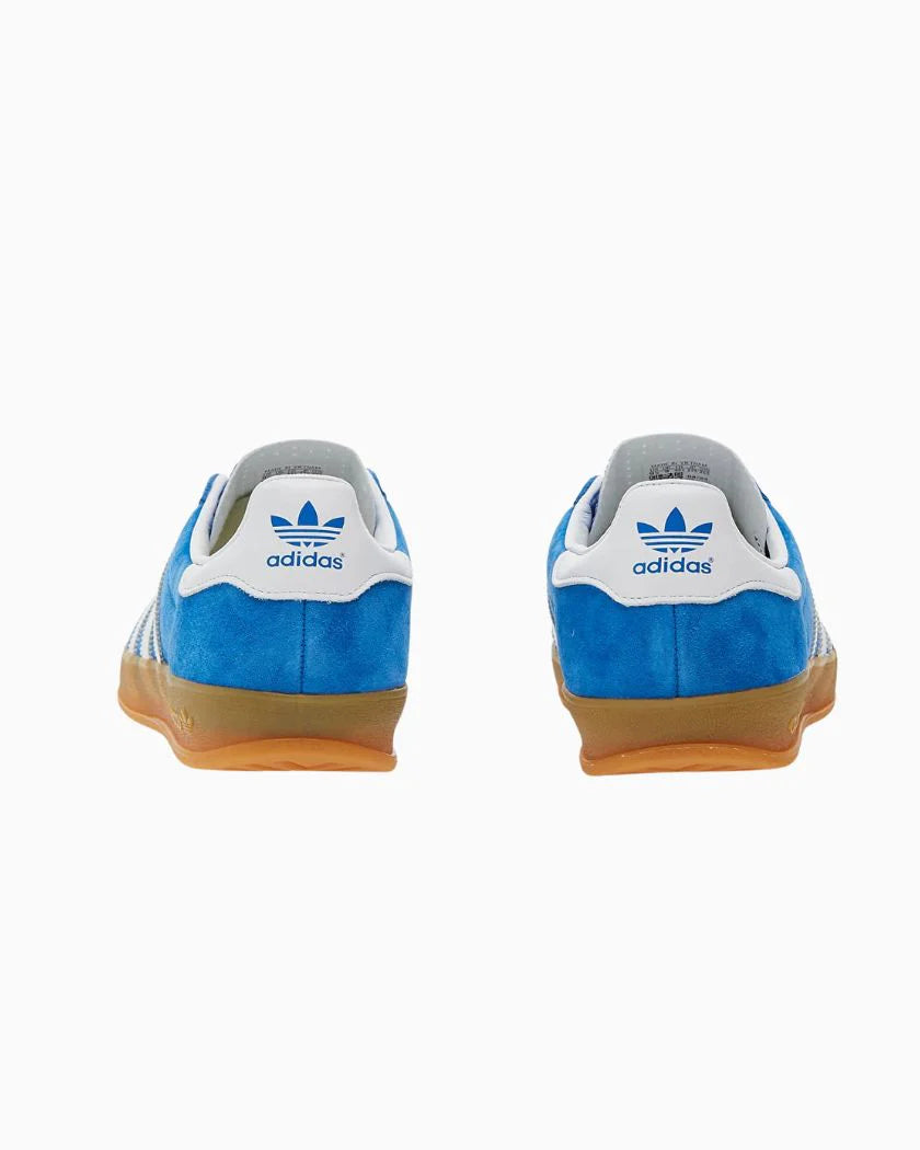 Adidas Gazelle Indoor Blue Bird Cloud White