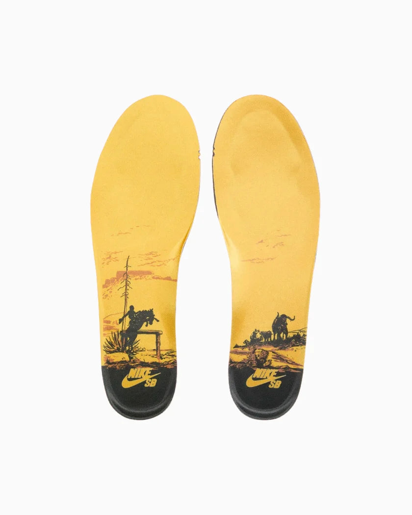 Nike Dunk Low SB Rodeo Tourmaline